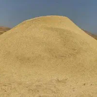 خریدار کاه و کلش با بالاترین قیمت