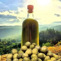 زیتون و روغن زیتون صادراتی اصل رودبار