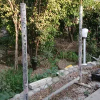 دار قالیچه