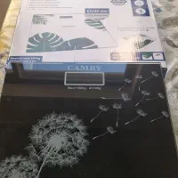 ترازو وزن کشی