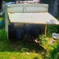 باربند