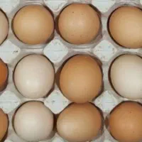 تخم مرغ دوزرده