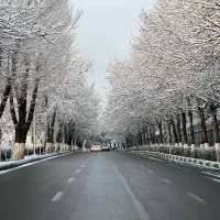 حمل نخاله اجاره بابکت پیکور دار بادسان کل تهران
