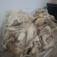 پشم گوسفند