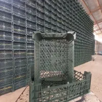 استخدام کارگر ساده و وسط کار  در کارخانه سبد