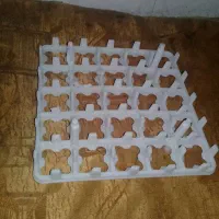 شانه دستگاه جوجه کشی