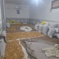 نان خشک|خوردنی و آشامیدنی|زاوه, |دیوار