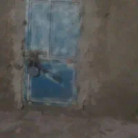 در کوله کبوتر زد سرقت