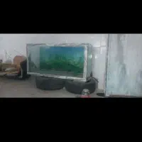 آکواریوم