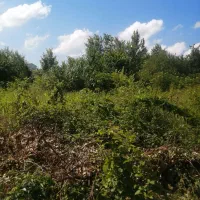 زمین-کاربری-مسکونی-زیر-قیمت-نزدیک-به-گلسار-ارزشمند