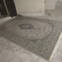 فرش|فرش|فولادشهر, مسکن مهر فولادشهر|دیوار