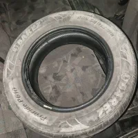 لاستیک بارز و کویر