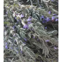 عرق بادرنجبی تازه خودم کشیدم معطر وخوش بو