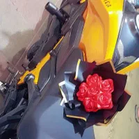 گل ربانی بابهترین کیفیت و قیمت وماندگاری بالا