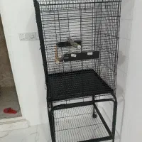 قفس ارایی