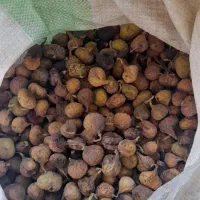 انجیر خشک گلابی