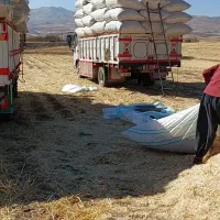 کاه|عمده‌فروشی|اسدآباد, |دیوار