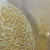 عسل طبیعی اصل