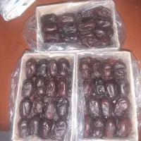 خرما مضافتی مجلسی