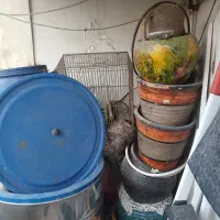 چند عدد گلدان سفالی