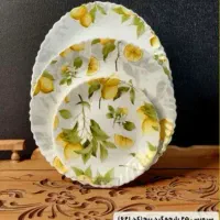 نماینده رسمی سرویس غذاخوری اپال