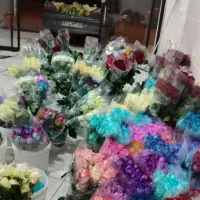 پخش عمده گل رز هلندی  مستقیم از گلخانه به بازار