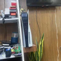 ps5 fat
