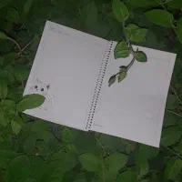 حاشیه دفتر دخترانه