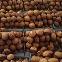 کیک فنجانی،تخته ای،پراشکی،بامیه