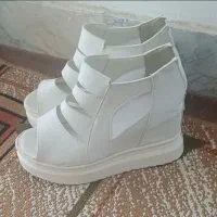 صندل  نو