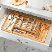 جاقاشقی داخل کابینتی ریلی