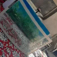آکواریوم ماهی