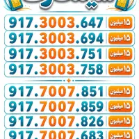 917.3003..917.7007