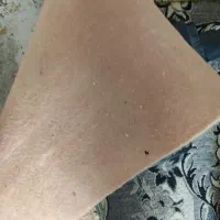 موکت|موکت|تربت جام, شهید مدرس|دیوار