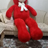 عروسک خرسی..شاسخین