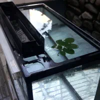 آکواریوم