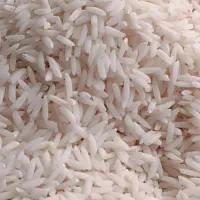 برنج ارگانیک محلی هاشمی