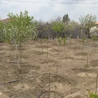 فروش-زمین-360متری-شاهین-شهر