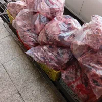 اسکلت مرغ و بوقلمون
