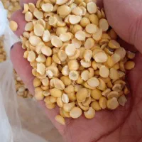 لپه محلی نخود ولوبیا چیتی برای مصرف خانگی