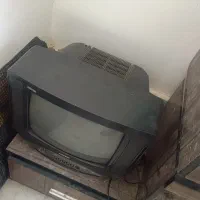 تلویزیون