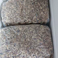 گردو دندانه درجه یک