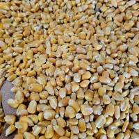 ذرت.سویا.گندم.جو.اقلام تولید