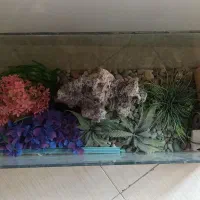 آکواریوم برای ماهی