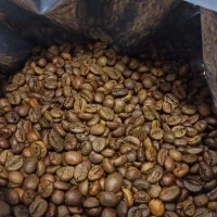 پخش محصولات یکبار مصرف دان قهوه