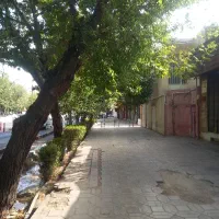 ادیتور کپکات