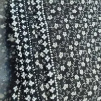رنگ آمیزی سریگ