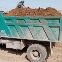 کود گاوی و گوسفندی