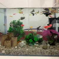 آکواریوم طول ۴۰ عرض ۲۵ ارتفاع ۳۰