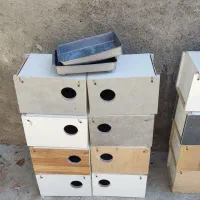 لانه عروس هلندی و کوتوله